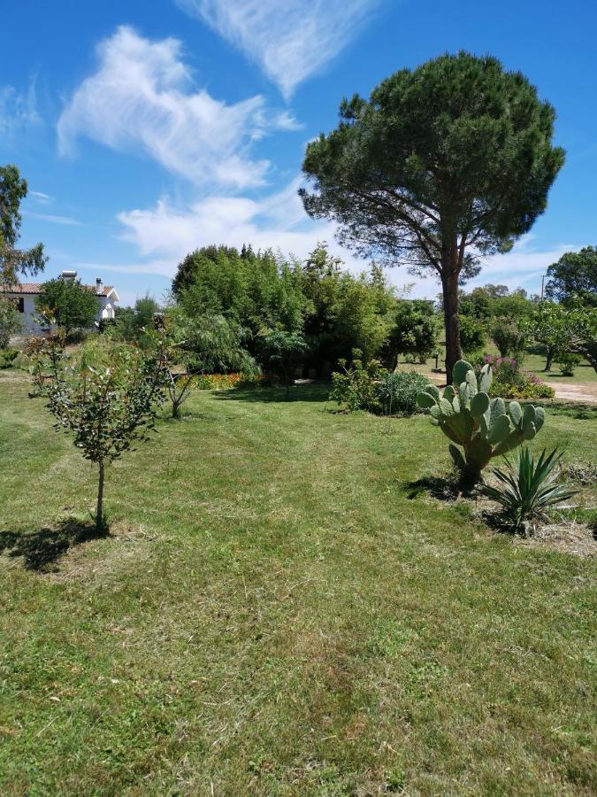 Home Garden Siniscola Exterior foto