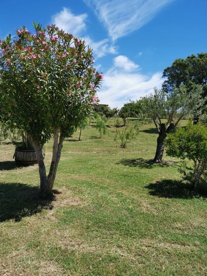 Home Garden Siniscola Exterior foto